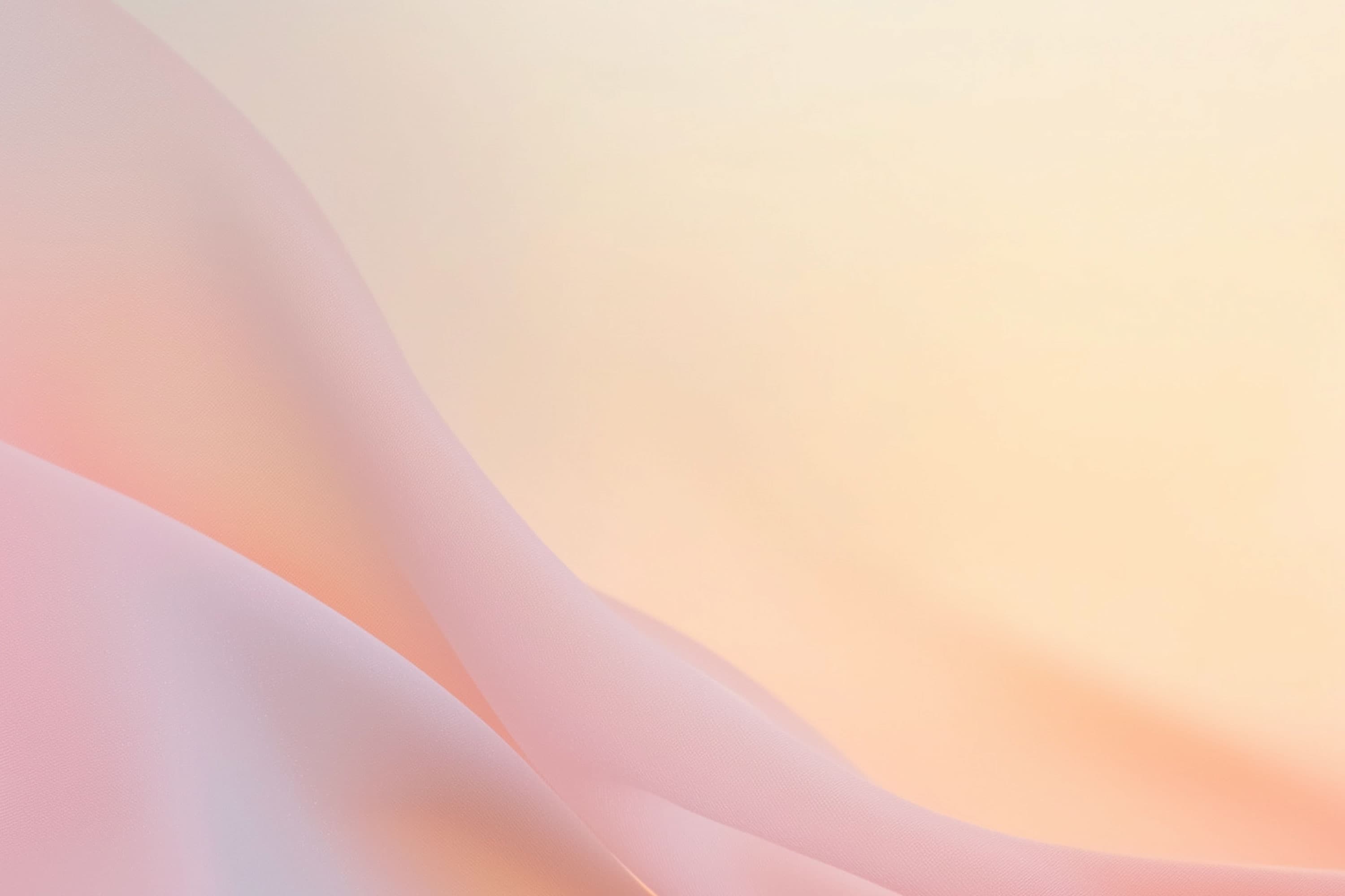 FLART × 灯ル アートコミュニティ